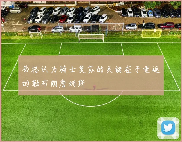 蒂格认为骑士复苏的关键在于重返的勒布朗詹姆斯